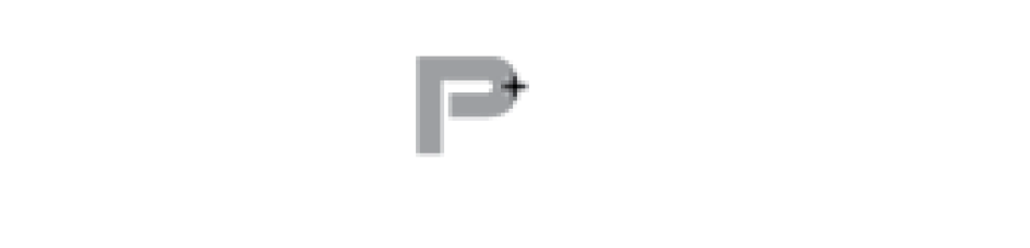 Logo pd sm